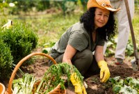 Câmara de Campo Largo sediará encontro de agricultores de Curitiba e Região Metropolitana